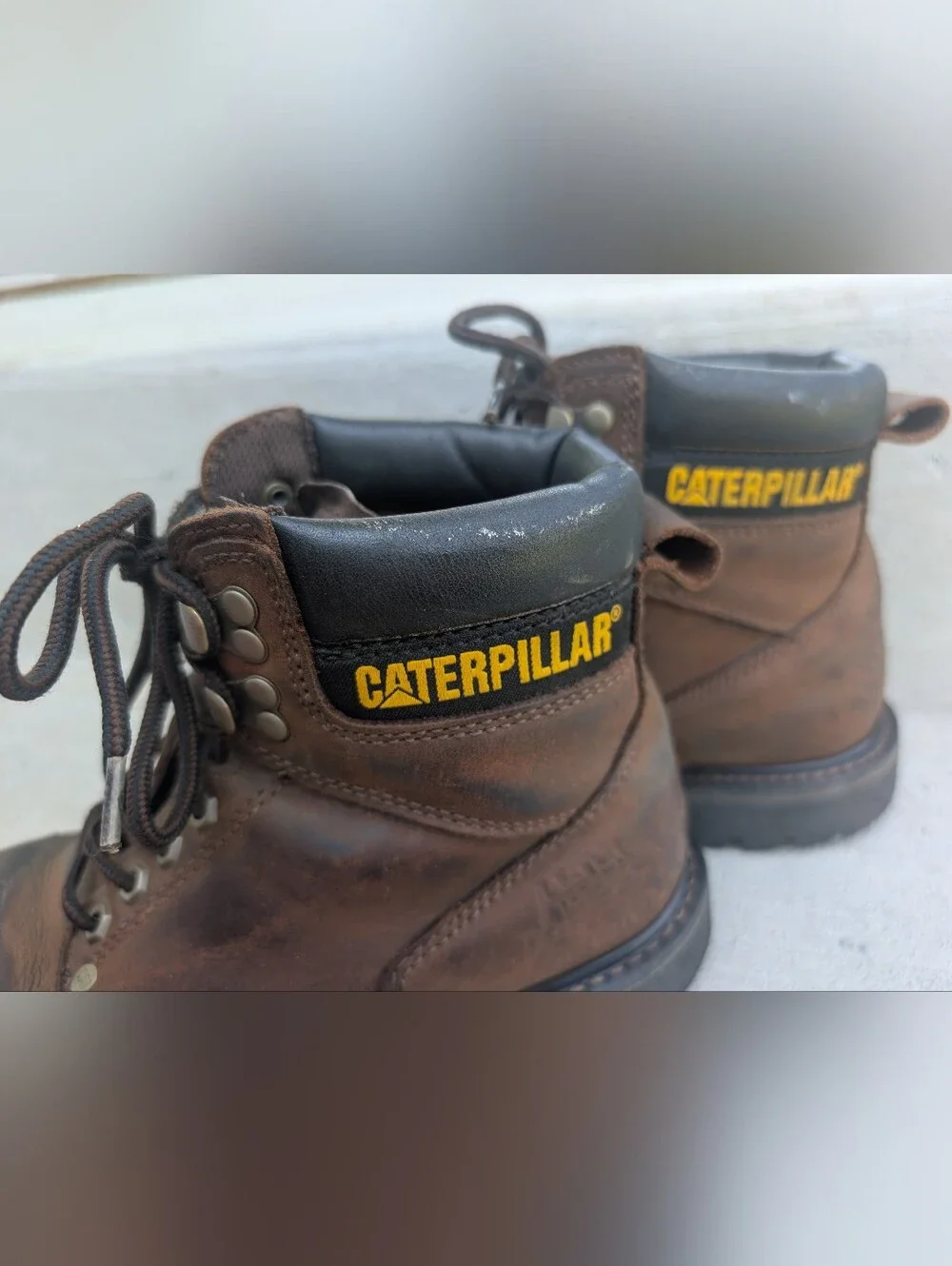 Caterpillar 6